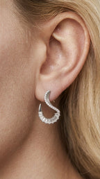 ANY EARRINGS