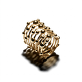 ANELLO STARDUST