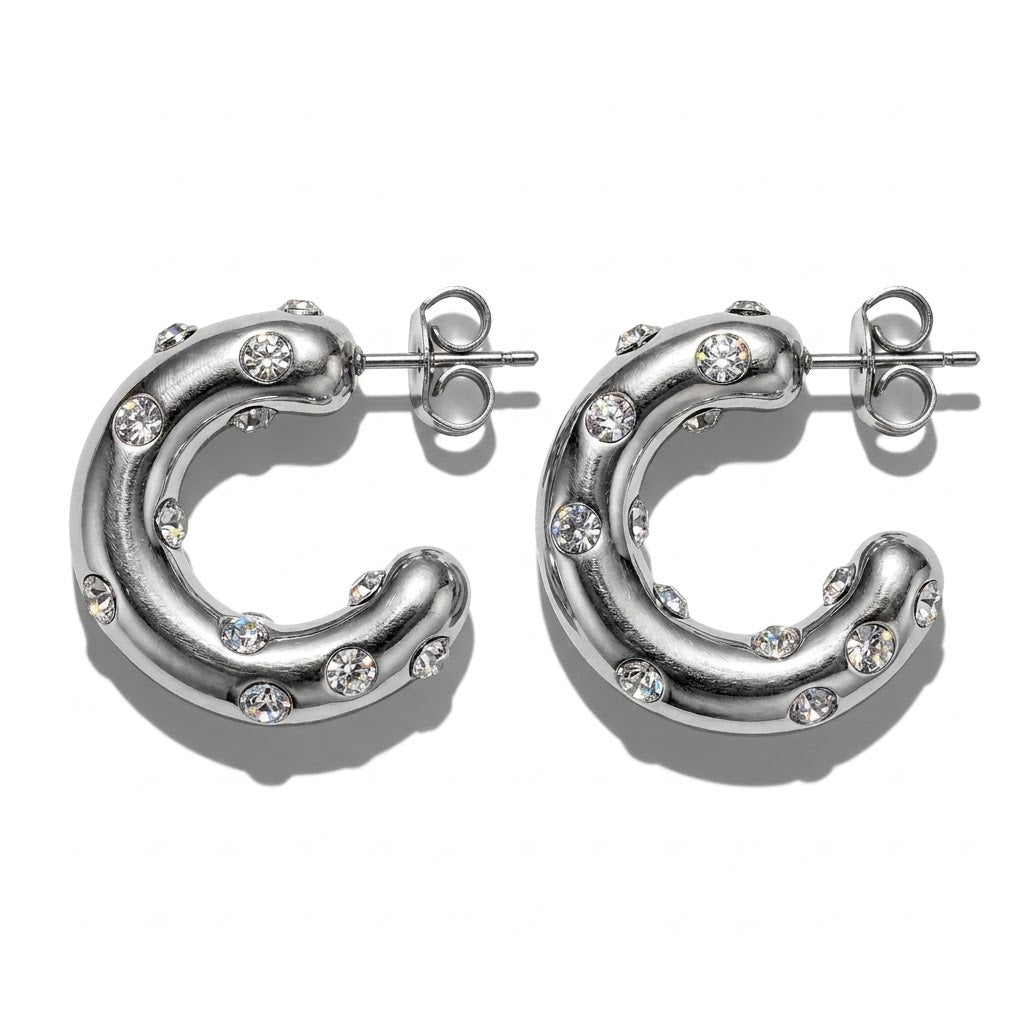 NIN EARRINGS