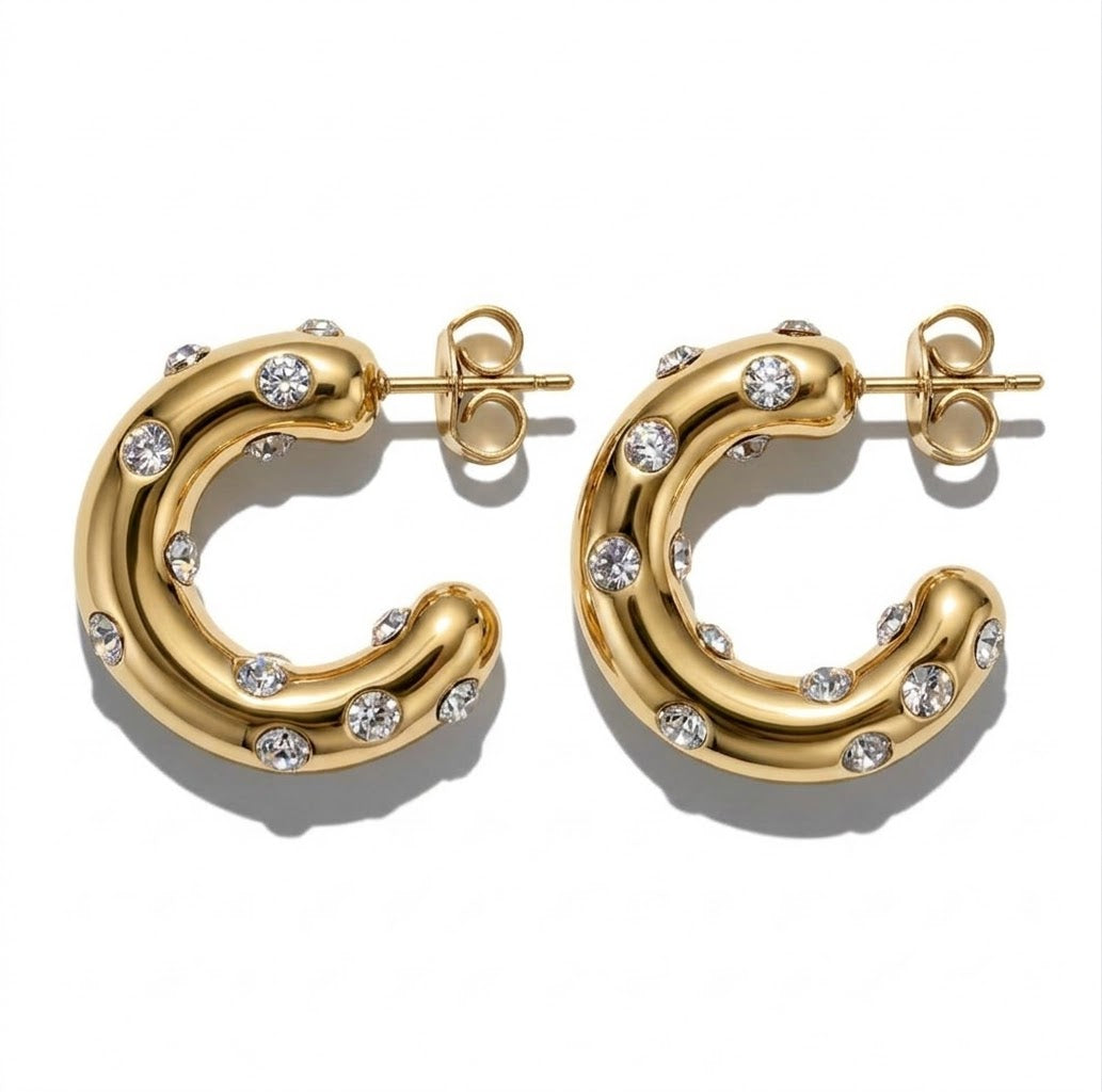 NIN EARRINGS