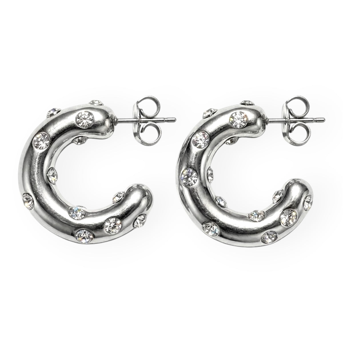 NIN EARRINGS
