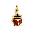 CHARM COCCINELLA